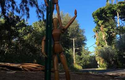 Marian Bear Memorial Park