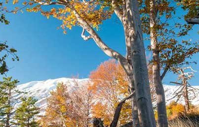 Mount Etna Neighborhood Park